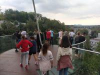 Ogled Kranja